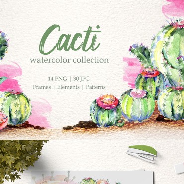 Cacti Watercolor Png. Иллюстрация. Артикул 76782