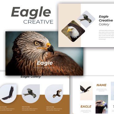Eagle Creative. PowerPoint .  87224
