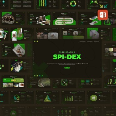 Spidex . PowerPoint .  98233