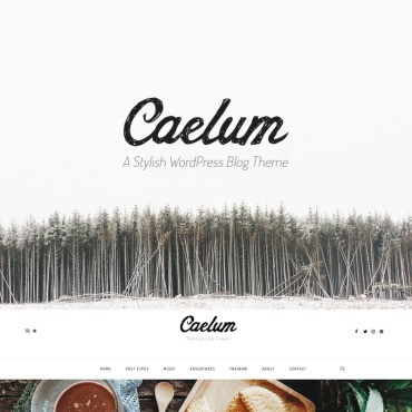 Caelum - . WordPress  .  100705