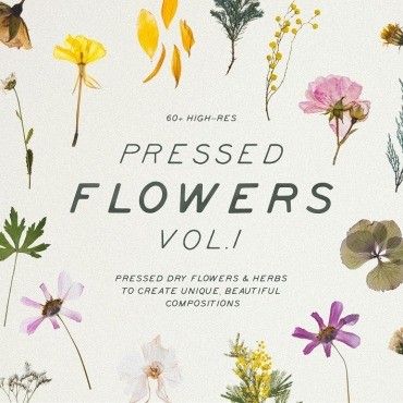 Прессованные сухие цветы и травы Vol.1. Mockups . Артикул 104153