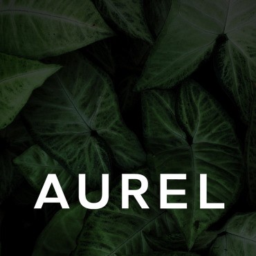 Aurel -    . .  93024