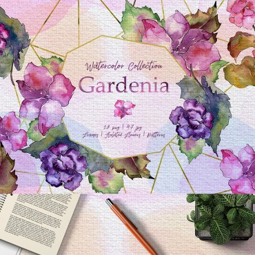 Gardenia Watercolor png. .  76410