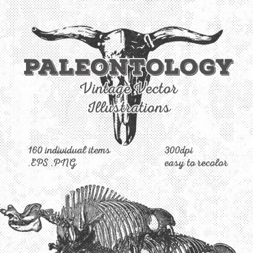 Векторные палеонтологические винтажные иллюстрации [150 предметов]. Иллюстрация. Артикул 67563