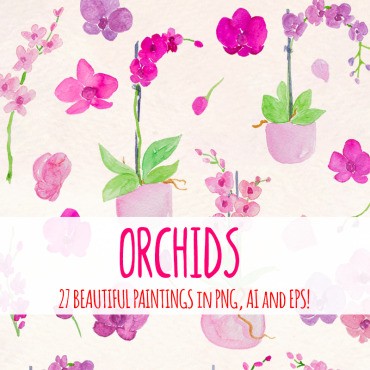 27 прекрасных цветов орхидеи. Иллюстрация. Артикул 79402