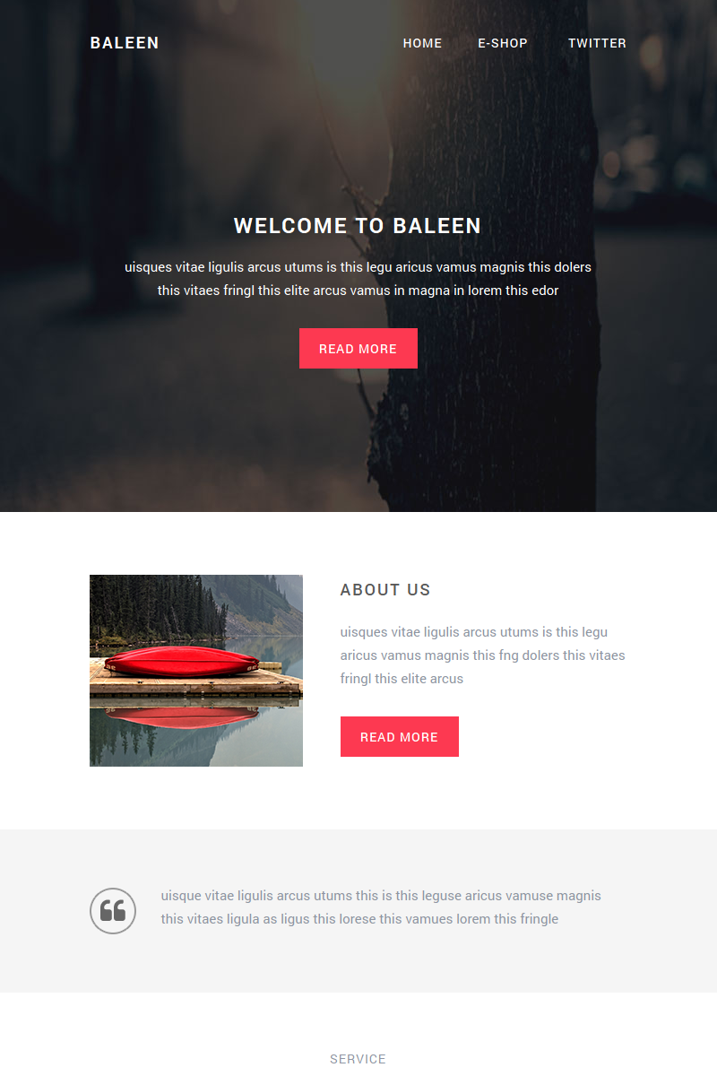 Baleen - Адаптивный шаблон электронной почты