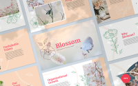Blossom -      PowerPoint