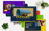 Integry -    Powerpoint