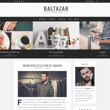 Baltazar -  . WordPress  .  77973