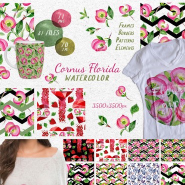 Cornus Florida Flowers PNG  . .  69779