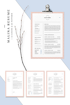 МАЛИНА - 3 страницы + бонус