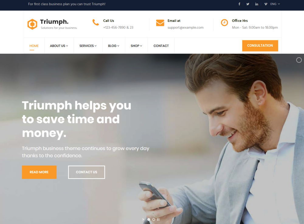 Триумф - консалтинг и профессионал