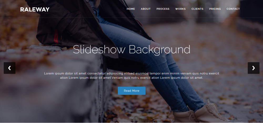 Raleway - Адаптивный OnePage