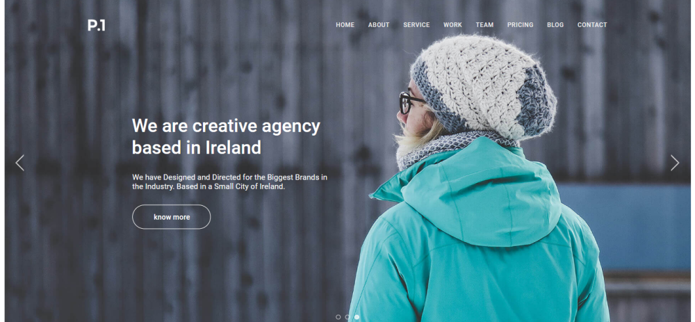 P1 - Адаптивный Многоцелевой Бизнес